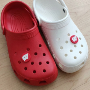 Wisconsin Badger Croc Charms